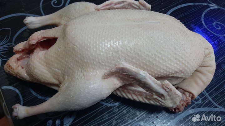 Утята муларды