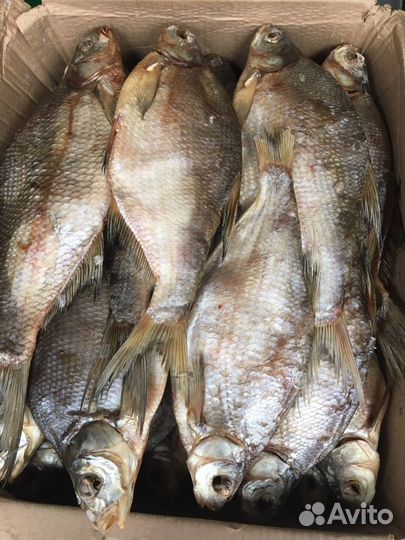 Рыба тарань опт