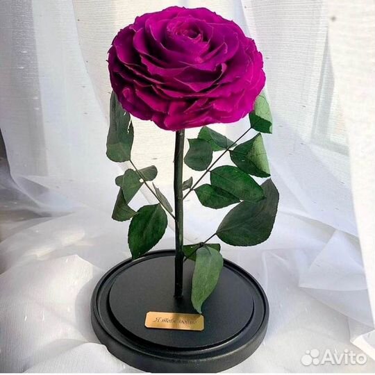 Розы в колбе на выбор