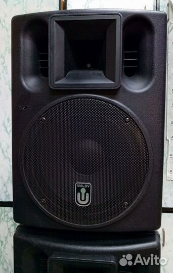 Акустическая система woldy MWS12AU 2 шт