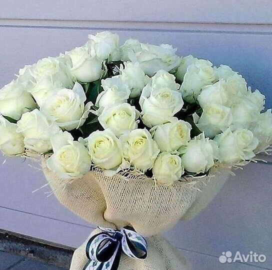 Розы Высокие 150см 160см 170см 180см 190см 2м