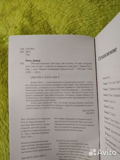 Дэвид Ричо Эмоциональные триггеры