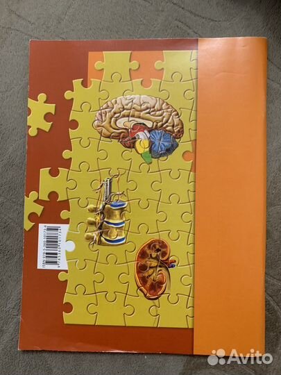 Рабочая тетрадь по биологии 8 класс Р.Д.Маш