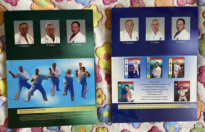 Пособие по каратэ кёкусинкай IFK:А.Танюшкин