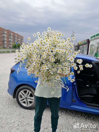 Цветы букеты с доставкой