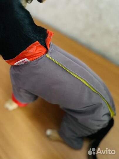 Комбинизон для собак супер маленьких пород)