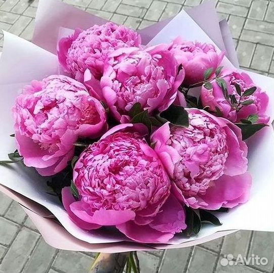 Пионы Цветы Доставка