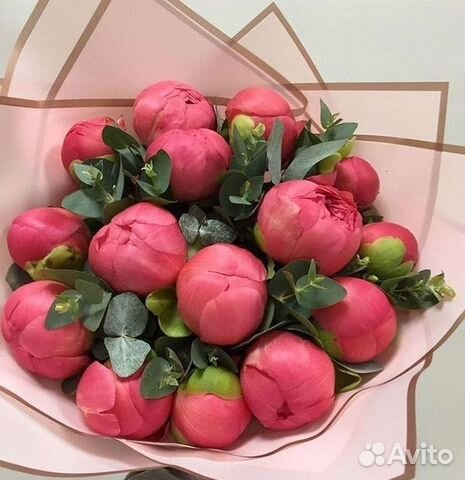 Пионы Розы Доставка