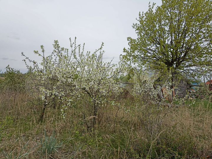 Участок 15 сот. (ИЖС)