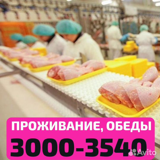 Выезд из Бузулука, вахта Нижний Новгород упаковщик