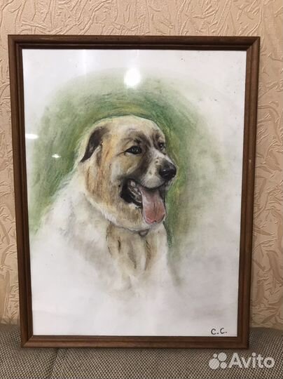 Портрет питомца по фото