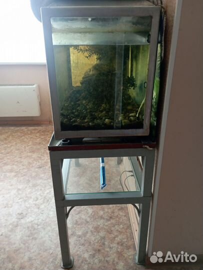 Аквариум с тумбой бу, зарезервирован до среды