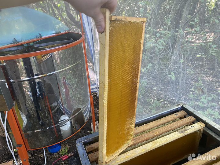 Мед Подсолнечный с примесью разнотравия