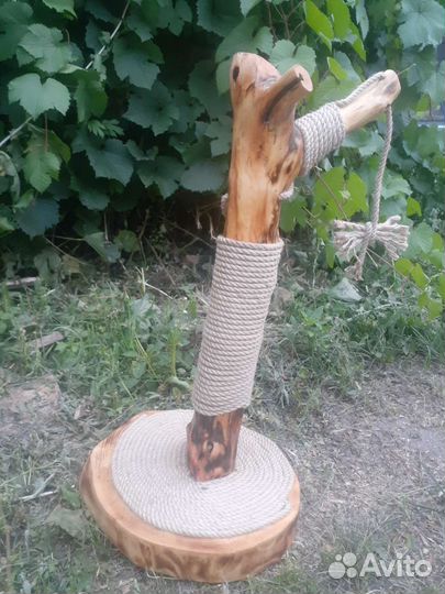 Когтеточка