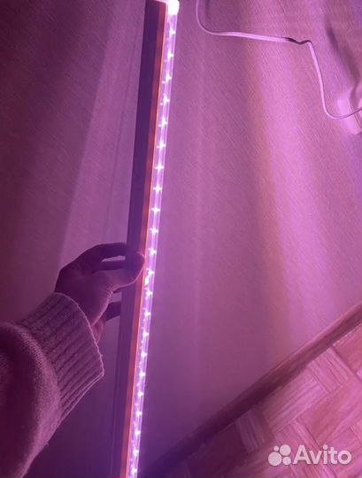 Фитолампа для растений