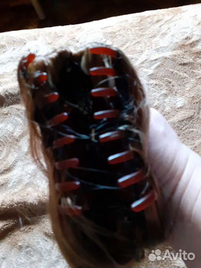 Хвост на крабе