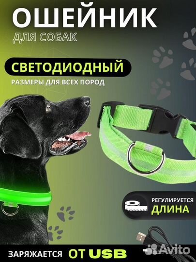 Светящиеся ошейники для собак для кошек