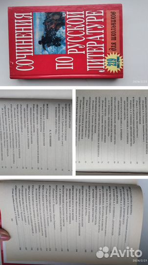 Сочинения для школьников и абитуриентов