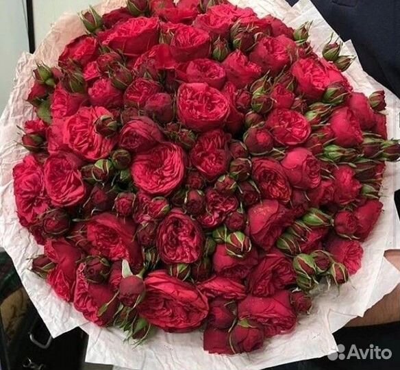 51 101 Роза Букеты Цветы