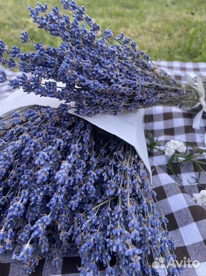 Букет лаванды Крым