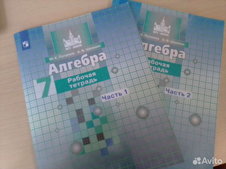 Рабочая тетрадь 7 класс Алгебра (Потапов, Шевкин)
