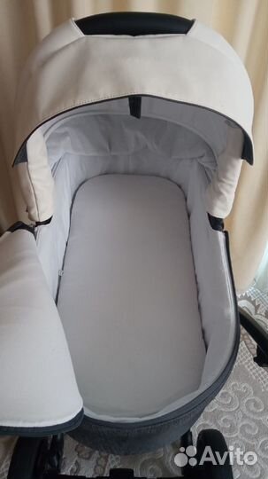 Детская коляска Bebetto Torino 2 в 1