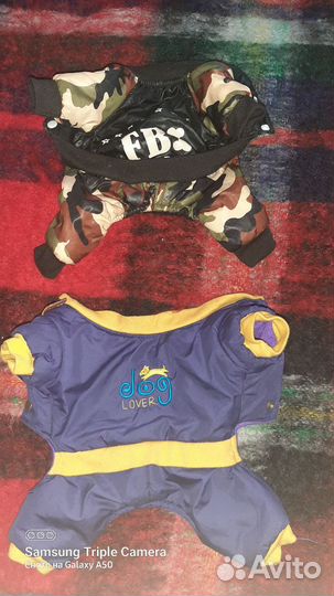 Дождевик для маленькой собаки