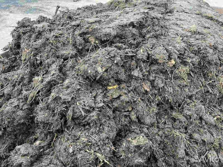 Навоз коровий конский