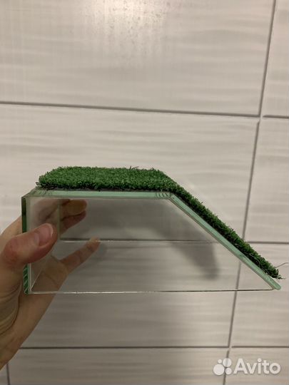 Мостик для черепахи