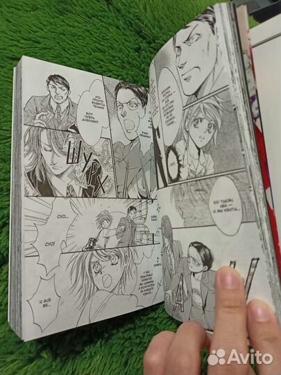 Манга Каори Юки 