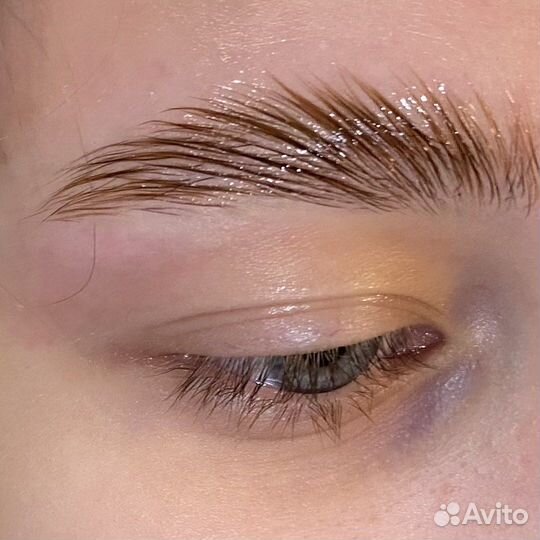 Мастер бровист