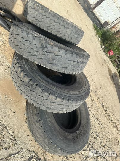 Шина 12.00 r20