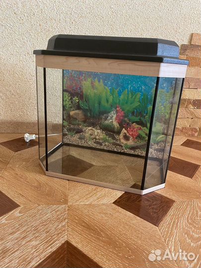 Аквариум с крышкой