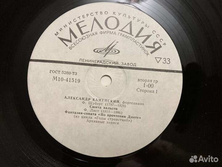 Александр Каменский - Ф. Шуберт / Ф. Лист