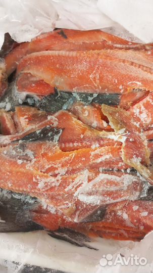 Хребты красной рыбы (лососевых пород)