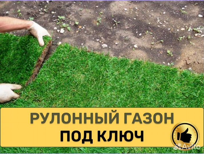 Рулонный газон Стандарт с укладкой