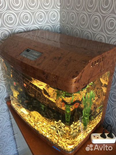 Аквариум