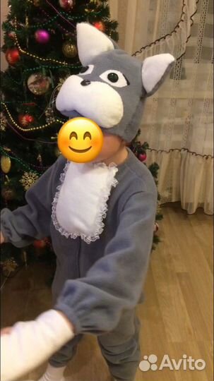Новогодний костюм кота (5 лет)