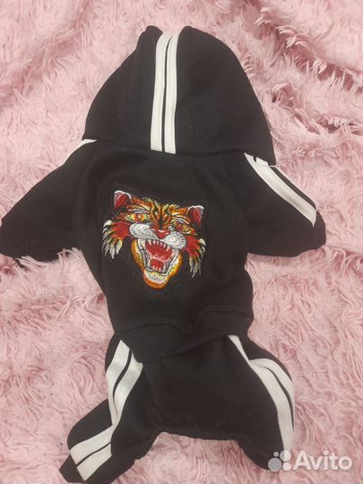 Одежда для маленьких собак