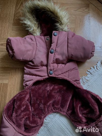 Товары для животных