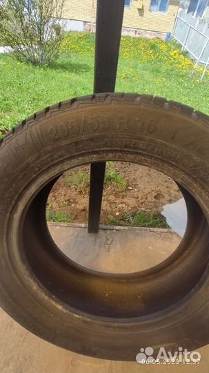 Gislaved NordFrost 100 205/55 R16