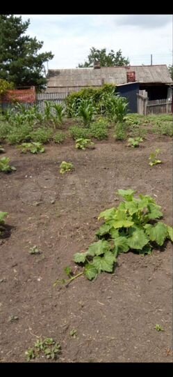 Дом 47,3 м² на участке 6 сот.