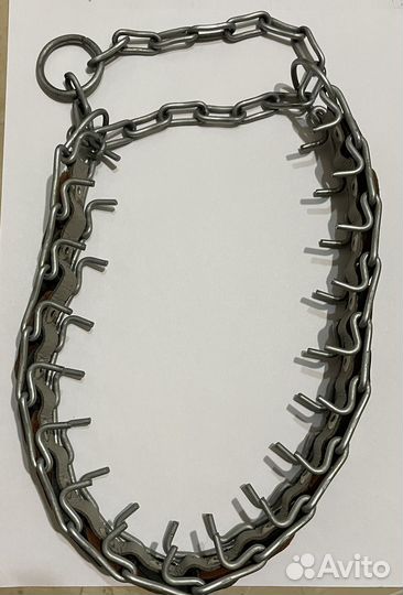 Строгий ошейник для собак