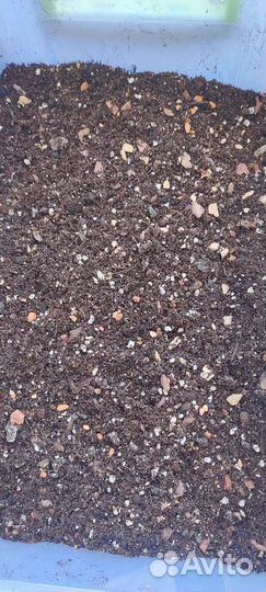 Универсальный грунт