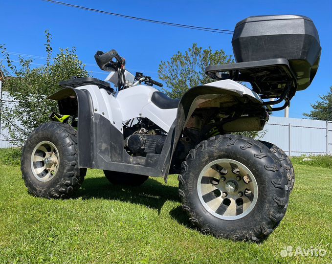 Avantis Hunter 200 NEW premium