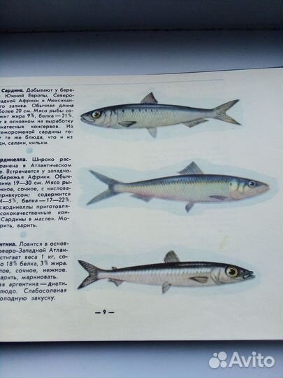 Дары атлантики