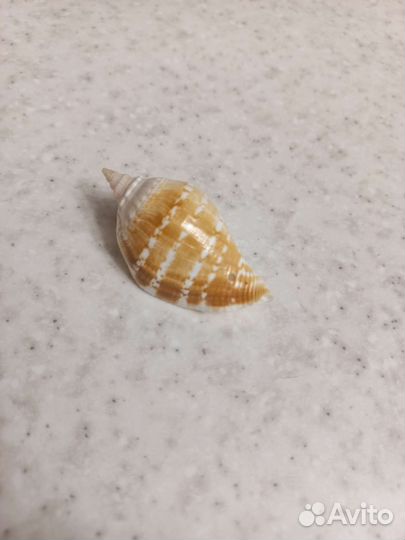 Набор для рукоделия