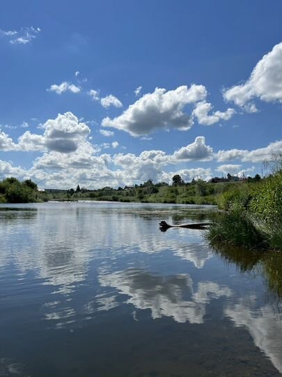 Участок 51,7 га (СНТ, ДНП)