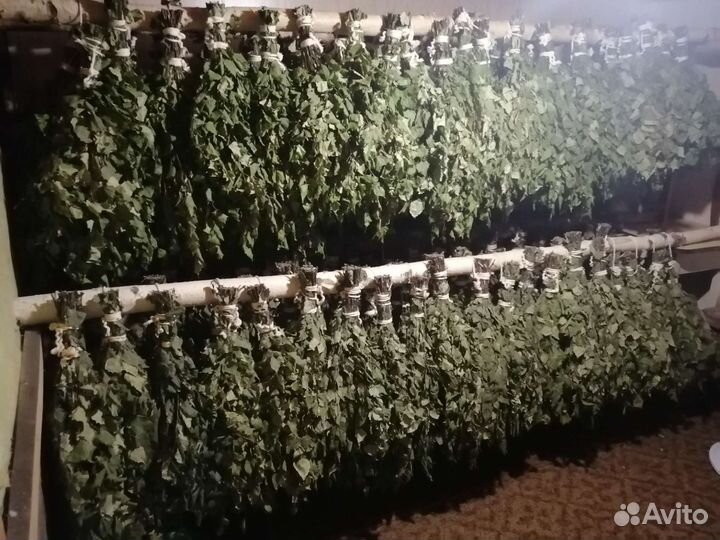 Веники березовые