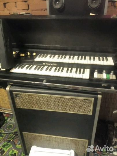 Хаммонд орган,show man,bassman